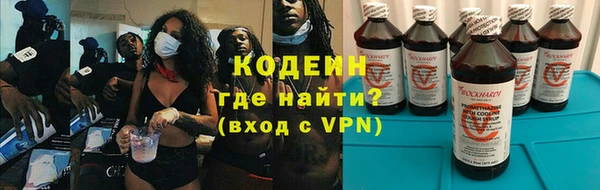 индика Кострома